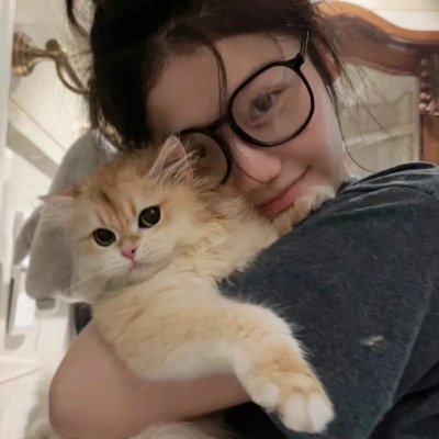 白痴之日 在线观看