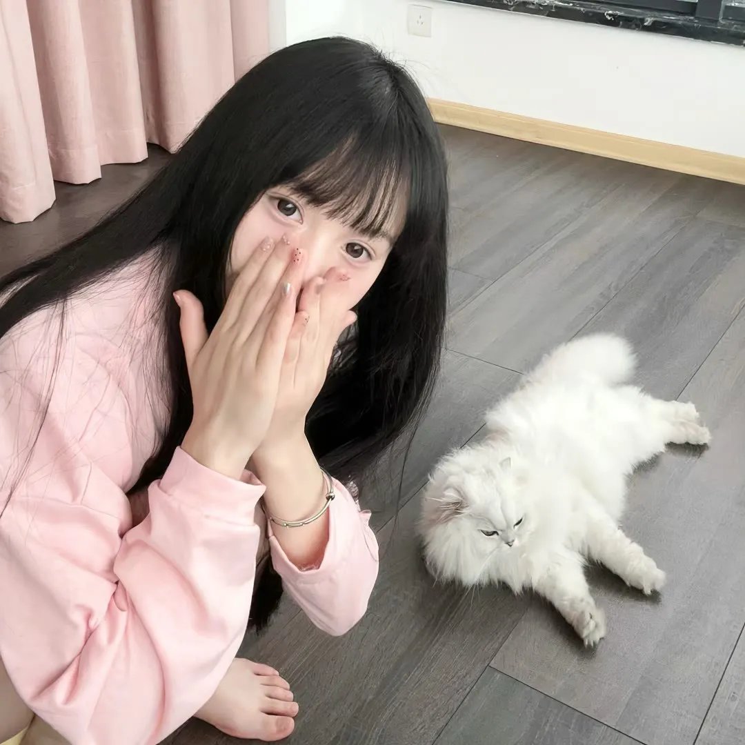 诱饵 在线观看
